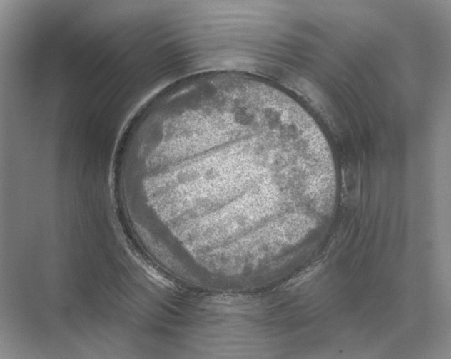 X0000073860780200608312025