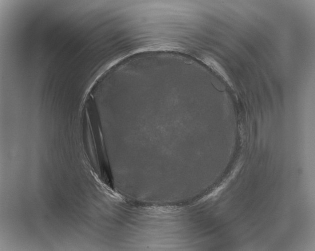 X0000073860781200608312025