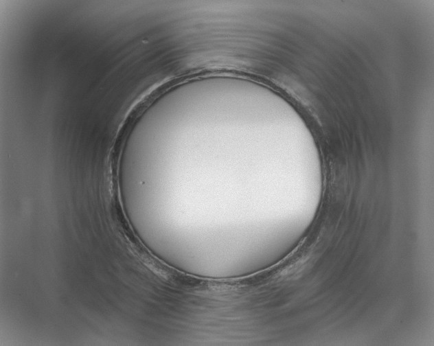 X0000073860782200608312025