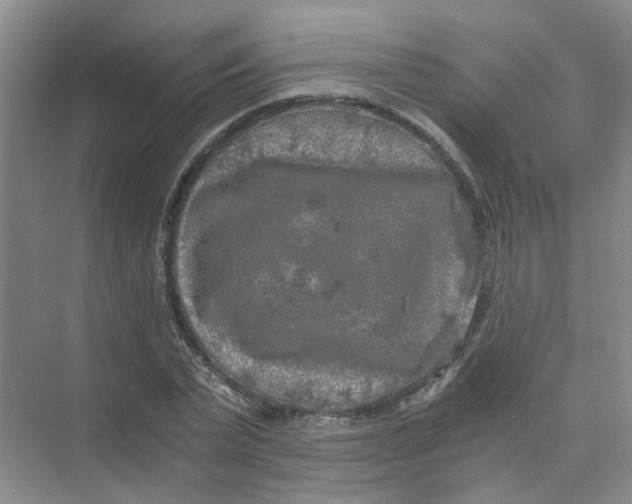 X0000073860783200608312025