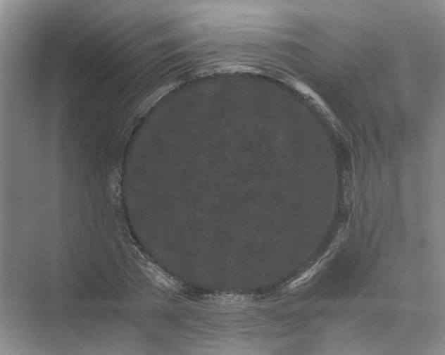 X0000073860785200608312025