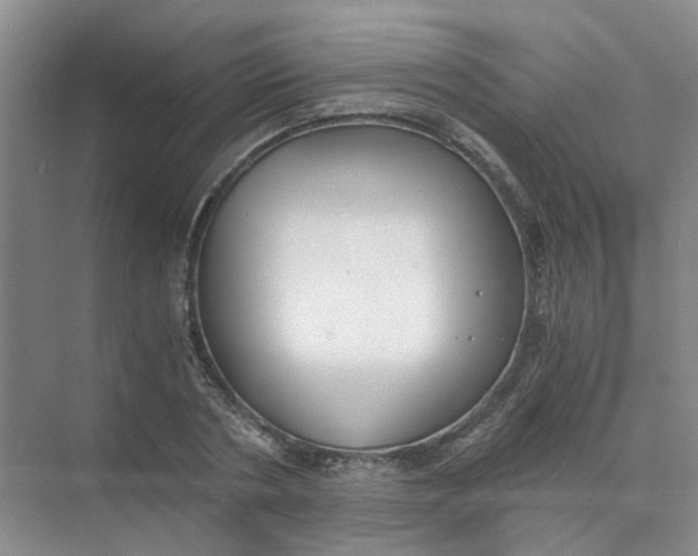 X0000073860786200608312025