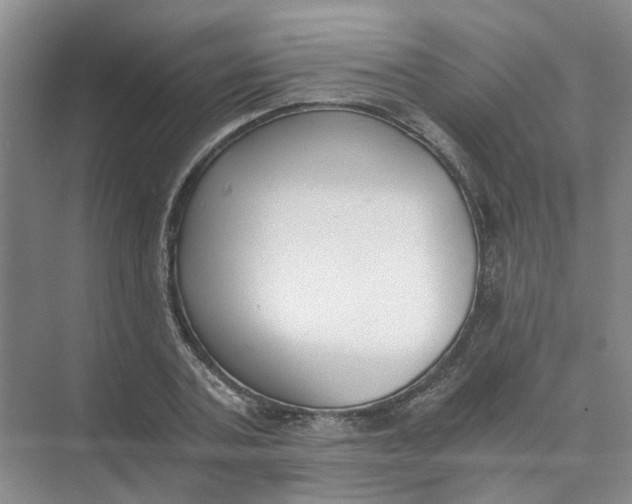 X0000073860787200608312025