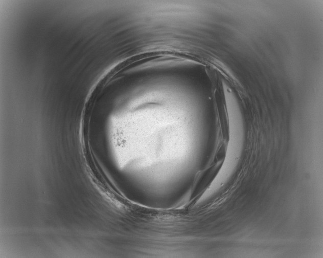 X0000073860788200608312025