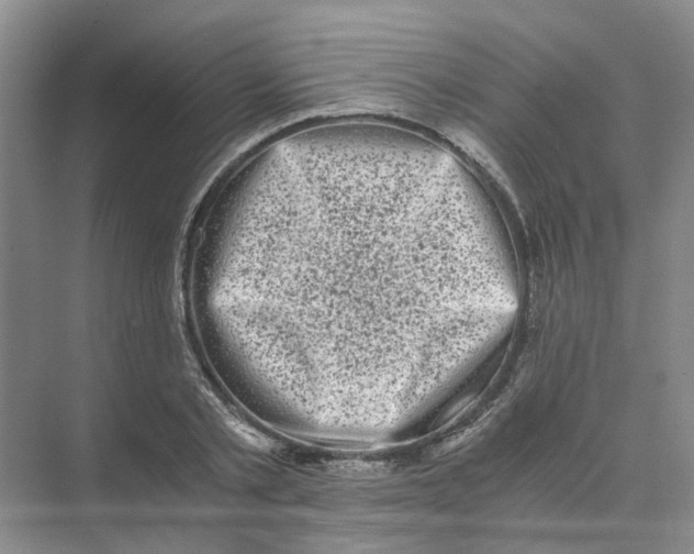 X0000073860789200608312025