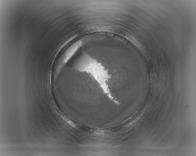 X0000073860790200608312025