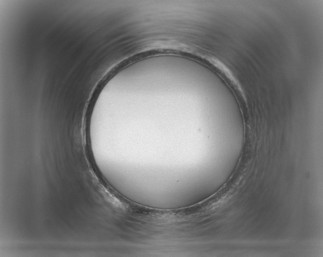 X0000073860791200608312025