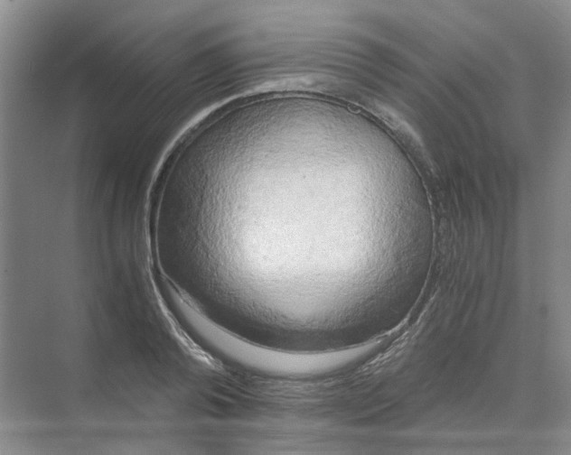 X0000073860792200608312025