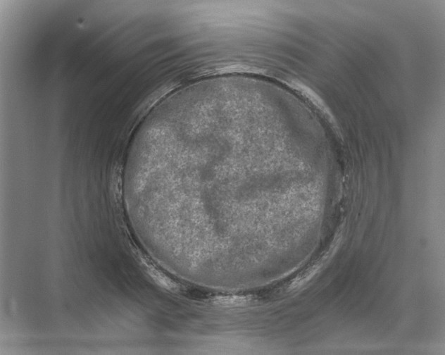 X0000073860793200608312025