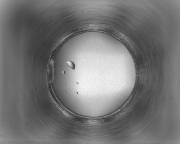 X0000073860794200608312025