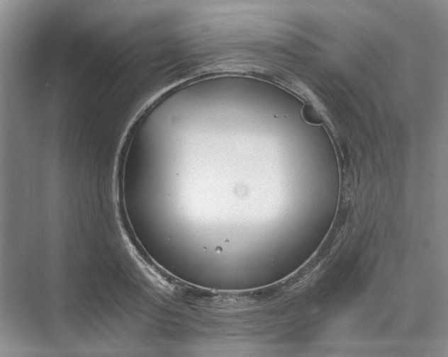 X0000073860795200608312025