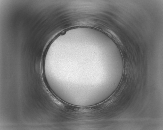 X0000073860796200608312025