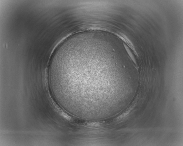 X0000073860798200608312025