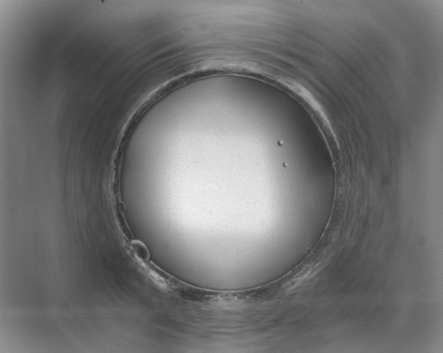 X0000073860799200608312025