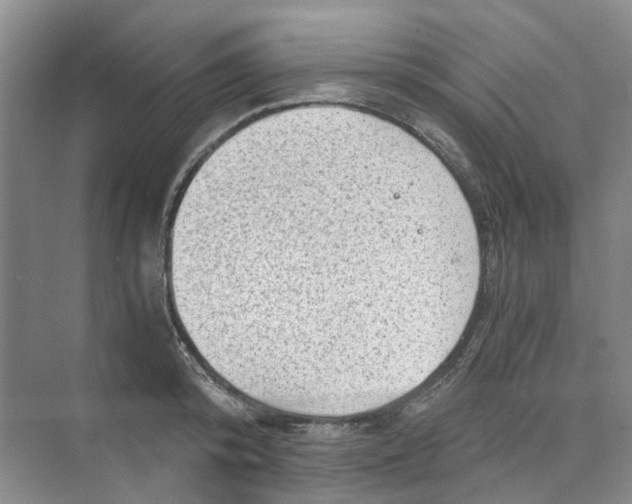 X0000073860800200608312025