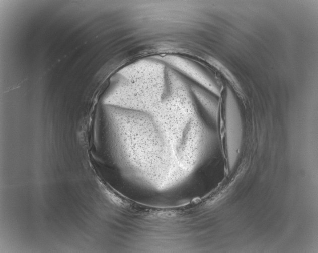 X0000073860801200608312025