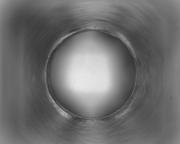 X0000073860803200608312025