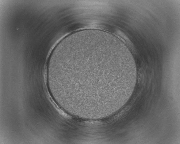 X0000073860804200608312025