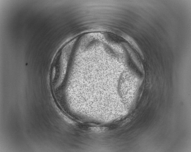 X0000073860805200608312025