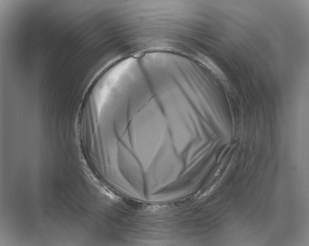 X0000073860806200608312025