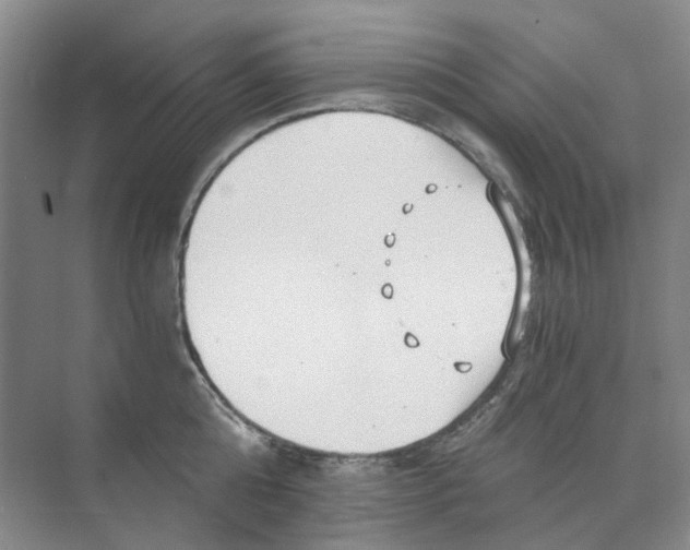 X0000073860808200608312025