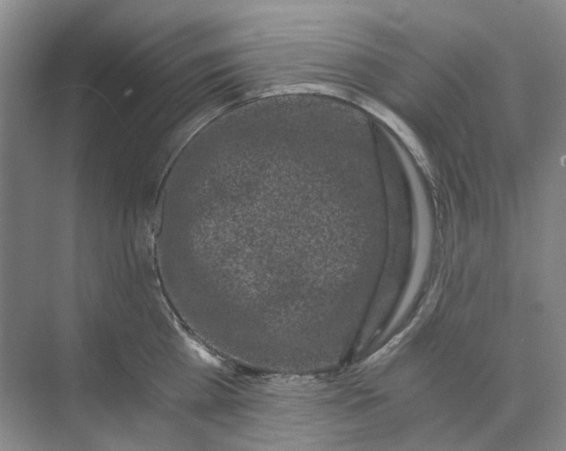 X0000073860809200608312025