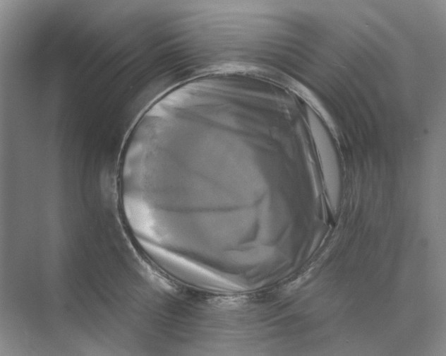 X0000073860810200608312025