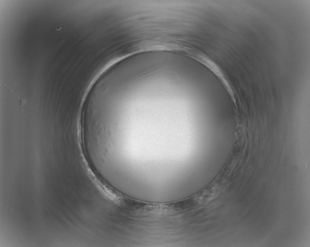 X0000073860811200608312025