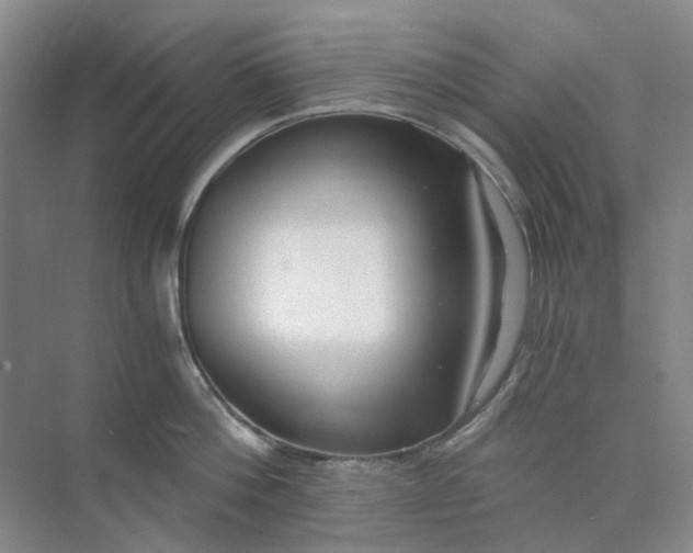 X0000073860812200608312025