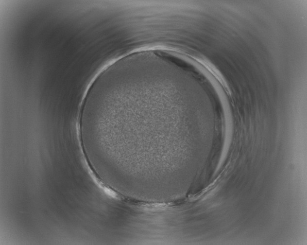 X0000073860813200608312025