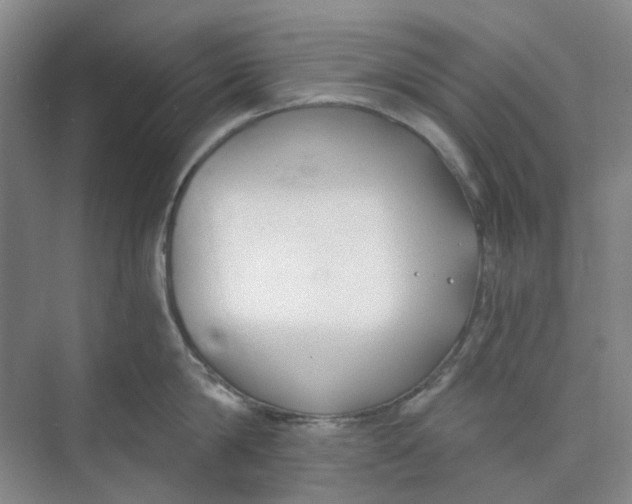 X0000073860814200608312025