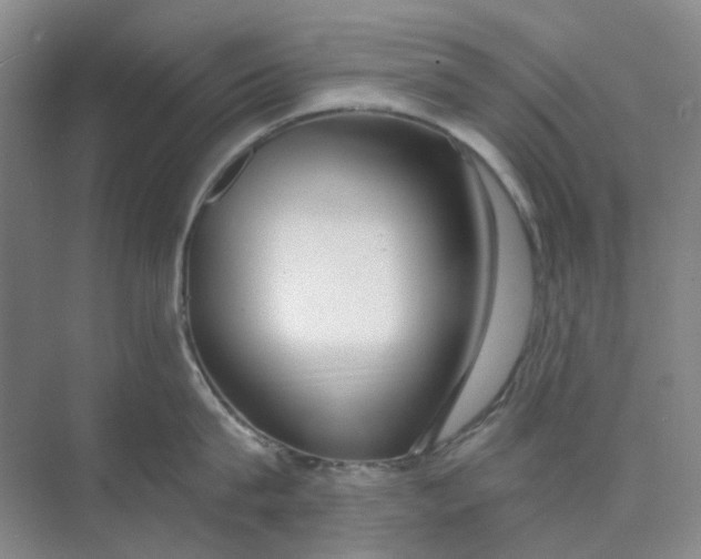 X0000073860815200608312025