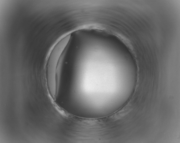 X0000073860816200608312025