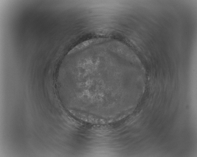 X0000073860817200608312024