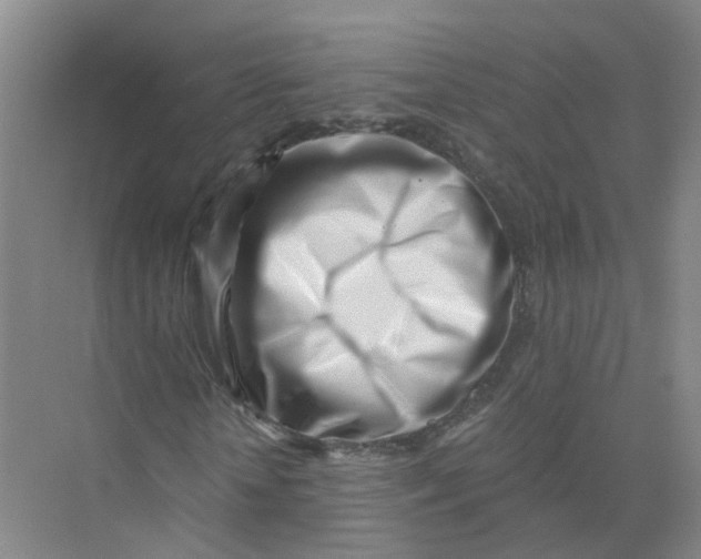 X0000073860818200608312024