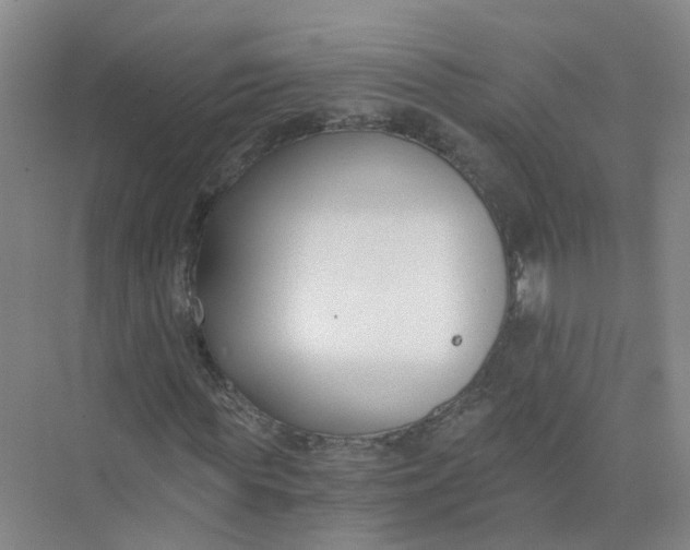 X0000073860819200608312024