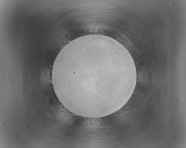 X0000073860820200608312024