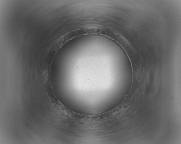 X0000073860821200608312024