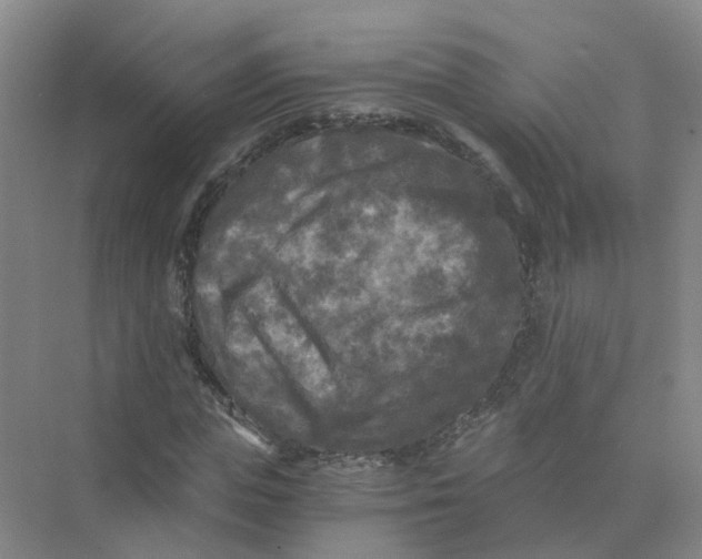 X0000073860823200608312024