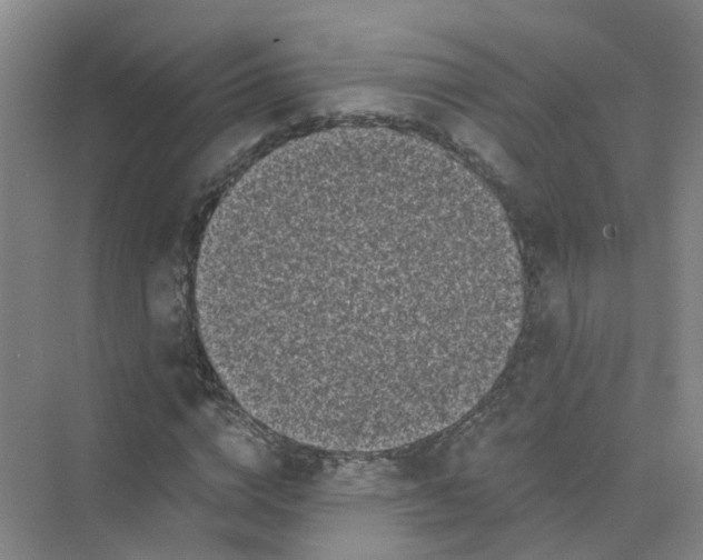 X0000073860824200608312024