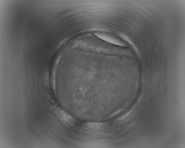 X0000073860825200608312024