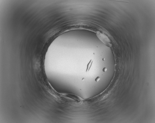 X0000073860826200608312024