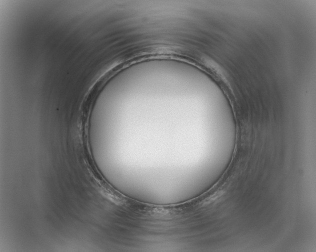 X0000073860827200608312024