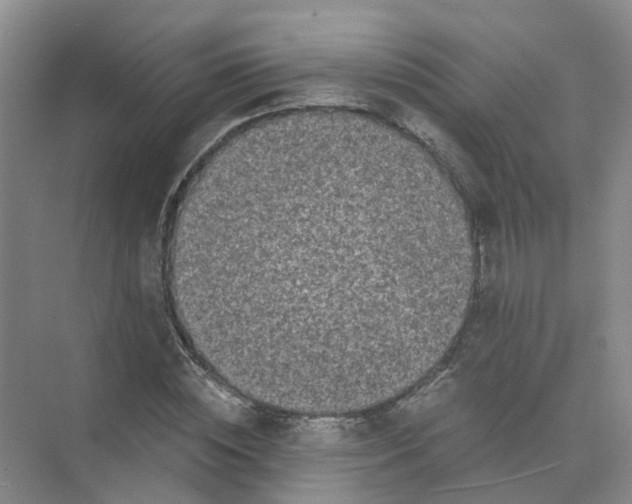 X0000073860828200608312024