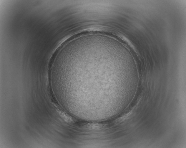 X0000073860829200608312024