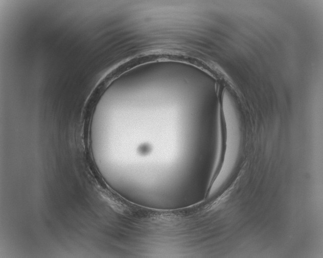 X0000073860830200608312024