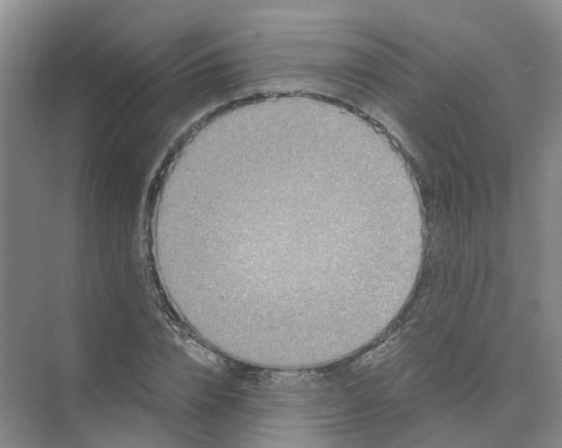 X0000073860832200608312024