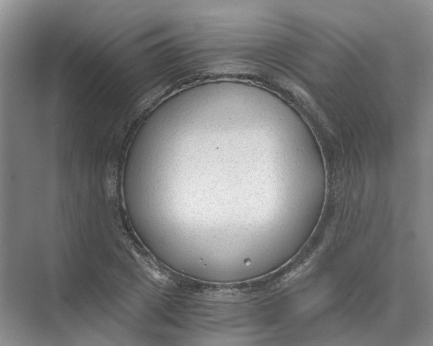 X0000073860833200608312024