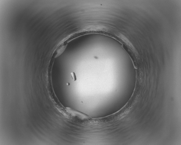 X0000073860834200608312024