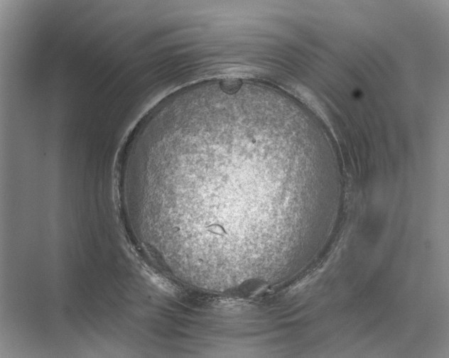 X0000073860835200608312024